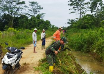Musim Bercocok Tanam, Babinsa Koramil 0909-06/Bengalon Bantu Poktan Binaan Perbaiki Drainase Sawah