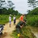 Musim Bercocok Tanam, Babinsa Koramil 0909-06/Bengalon Bantu Poktan Binaan Perbaiki Drainase Sawah