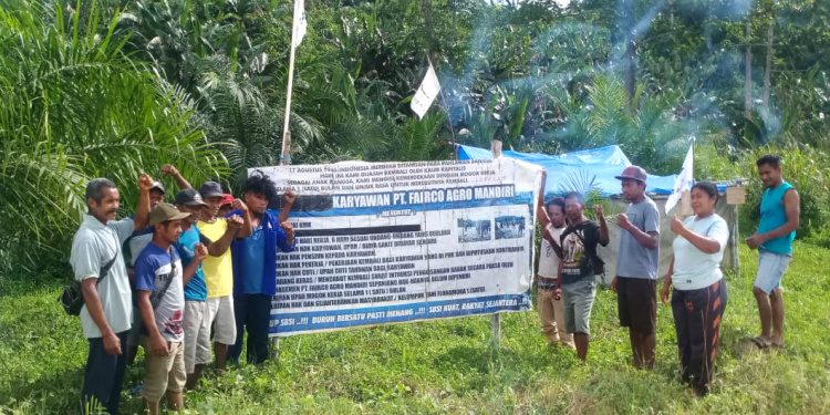 Ratusan Eks Pekerja PT FAM Minta Management Perusahaan Segera Lakukan Hal Ini