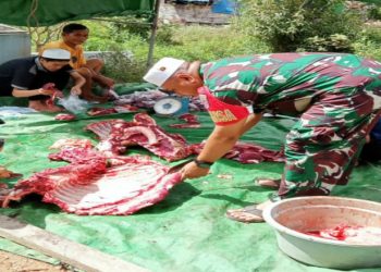 Tak Hanya Amankan Jalannya Ibadah Idul Adha, Babinsa Koramil 0909-03/Muara Wahau Juga Lakukan Hal Ini