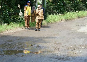 Jalan Lintas Timur Banyuwangi Mulai Diperbaiki