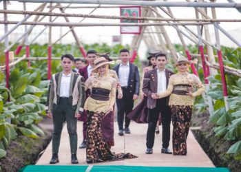 Peragaan Busana Jember Kota Cerutu di Tengah Kebun Tembakau