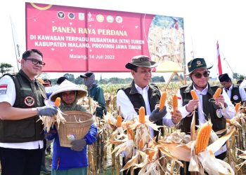 Kepala BNPT Panen Perdana Jagung di KTN Turen Kabupaten Malang