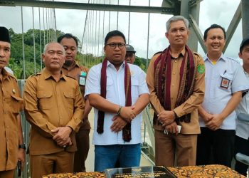 Reses di Batu Ampar, Irwan Fecho Resmikan Jembatan Gantung Telaga Abadi, Ini Pesannya