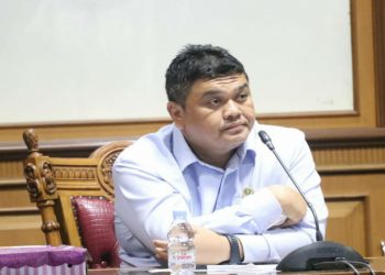 Hephnie: Perlu Literasi Informasi untuk Menangkal Hoaks