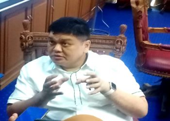 Ini Peran DPRD dalam Pembangunan Daerah Menurut Hephnie Armansyah