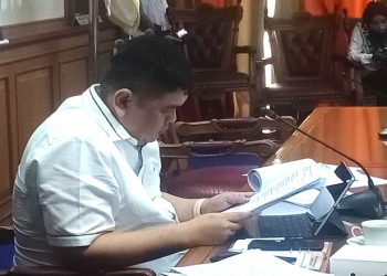 Hephnie Beberkan Dukungan DPRD dalam Pembentukan Karakter Anak Bangsa