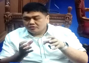 Hephnie Armansyah Paparkan Tugas dan Wewenang Pengawasan DPRD, Ini Penjelasannya