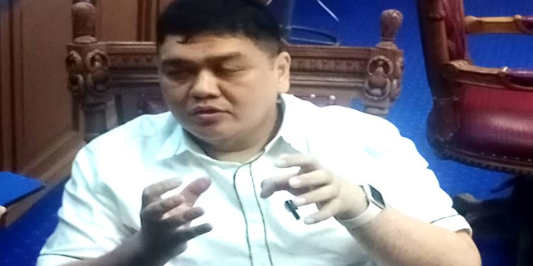 Hephnie Armansyah Paparkan Tugas dan Wewenang Pengawasan DPRD, Ini Penjelasannya