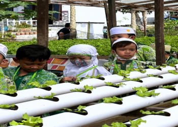 Siswa KBIT-TKIT Raudhatul Jannah Dikenalkan Kebun Hidroponik