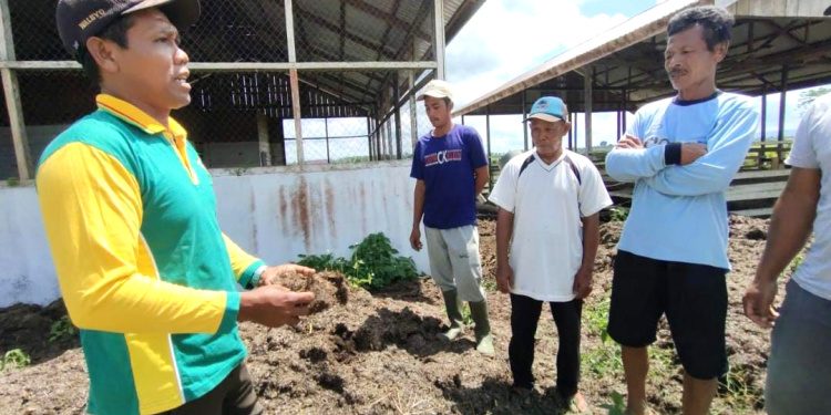 Melalui Program PPM, PT Indexim Coalindo Dorong Munculnya Tokoh Penggerak Ketahanan Pangan di Kutai Timur