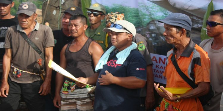 Diduga Lakukan Pembalakan Liar di Hutan Adat, PT NGU-5 Akan Dilapor ke Presiden Jokowi