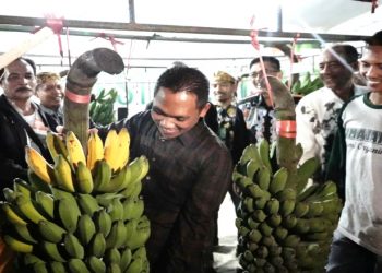 Bupati Lumajang Kenalkan Pisang Pasak Kresek Pada Masyarakat Umum