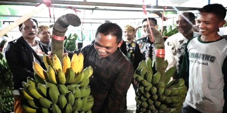 Bupati Lumajang Kenalkan Pisang Pasak Kresek Pada Masyarakat Umum