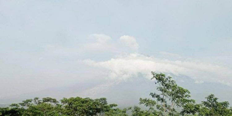 Gunung Semeru Masih Keluarkan Awan Panas Guguran Radius 1 KM