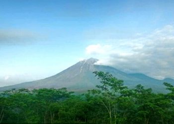 Cuaca di Gunung Semeru Terpantau Cerah Hari Ini