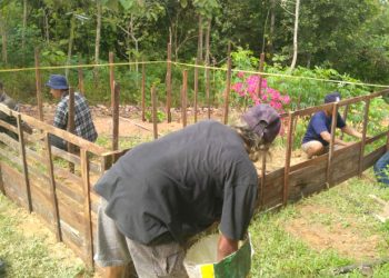 Bantu Yatim Piatu di Sangatta Selatan, Kelompok Budidaya Ikan Minarjo Siapkan Kolam dan Ribuan Ekor Bibit Ikan