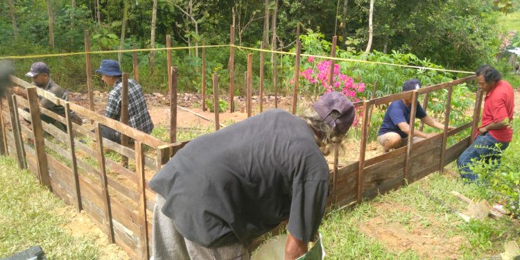 Bantu Yatim Piatu di Sangatta Selatan, Kelompok Budidaya Ikan Minarjo Siapkan Kolam dan Ribuan Ekor Bibit Ikan