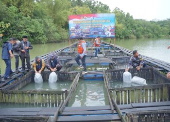 Dukung Program Pemerintah, Lanal Sangatta Gelar Panen Raya Ikan untuk Perkuat Ketahanan Pangan di Kutim